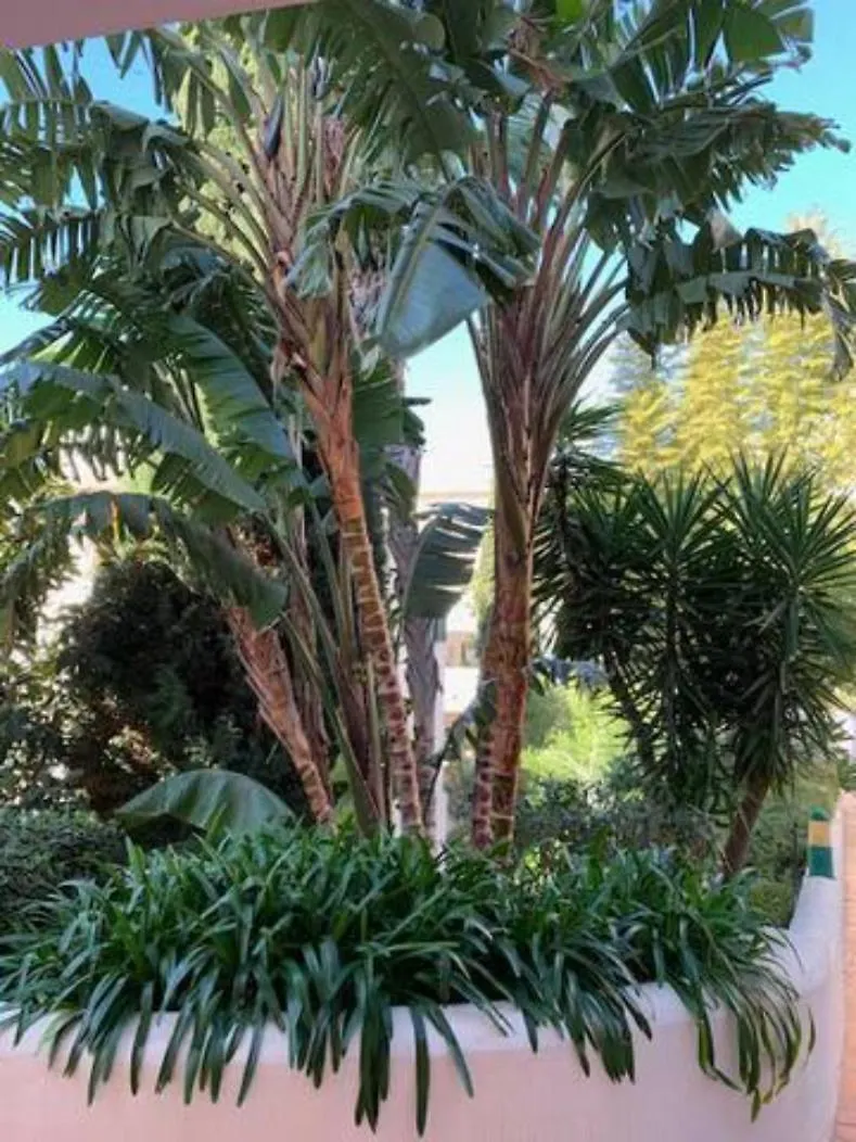 Appartement Pueblo Del Parque Avec Belle Terrasse ベナルマデナ 0*,  スペイン